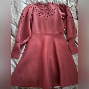 Long sleeve mauve colored form fitting dress from Express